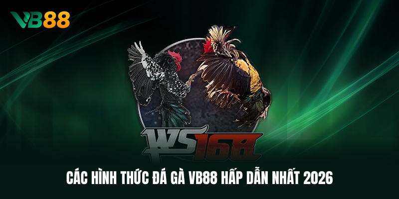 cac-hinh-thuc-da-ga-vb88-hap-dan-nhat-2026