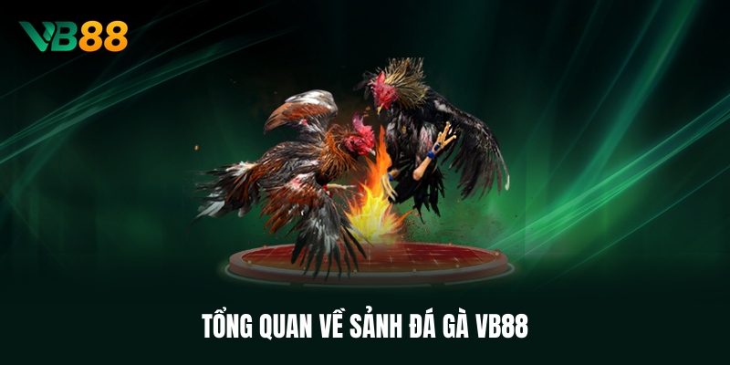 tong-quan-ve-sanh-da-ga-vb88