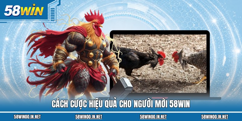 Cách cược hiệu quả cho người mới 58Win