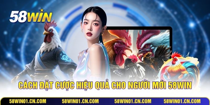 Cách đặt cược hiệu quả cho người mới 58WIN