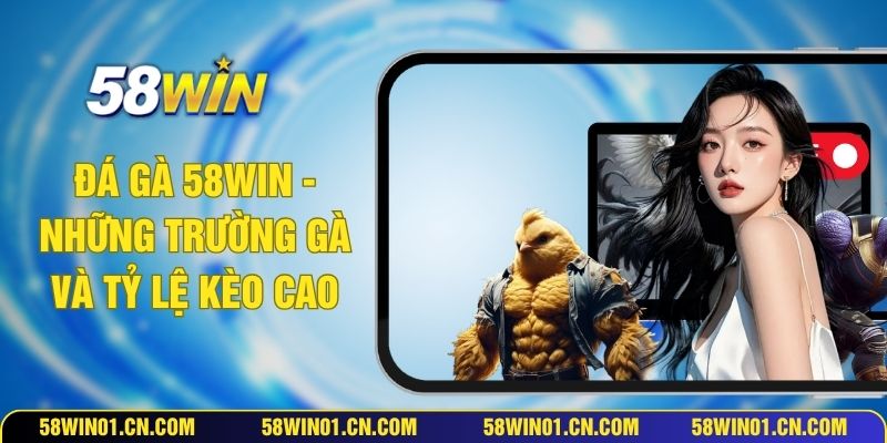 Đá Gà 58WIN - Những Trường Gà Và Tỷ Lệ Kèo Cao