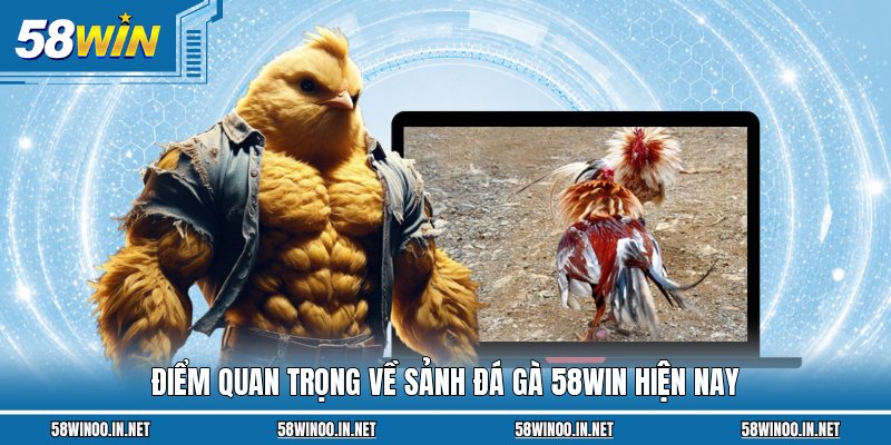 Điểm quan trọng về sảnh đá gà 58WIN hiện nay