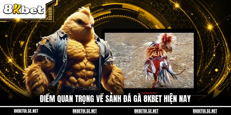 Điểm quan trọng về sảnh đá gà 8KBET hiện nay