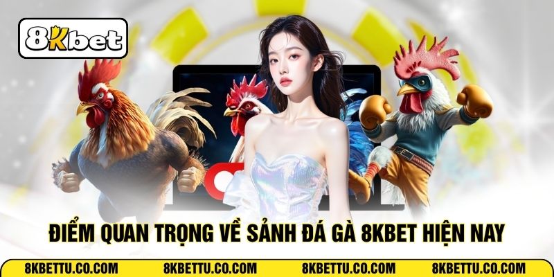 Điểm quan trọng về sảnh đá gà 8KBET hiện nay