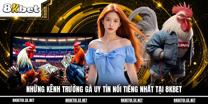 Những kênh trường gà uy tín nổi tiếng nhất tại 8KBET