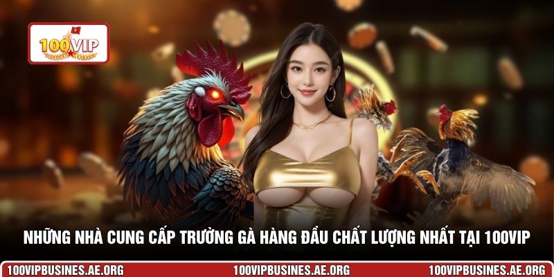 Những nhà cung cấp trường gà hàng đầu chất lượng nhất tại 100VIP