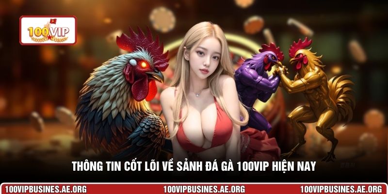 Thông tin cốt lõi về sảnh đá gà 100VIP hiện nay